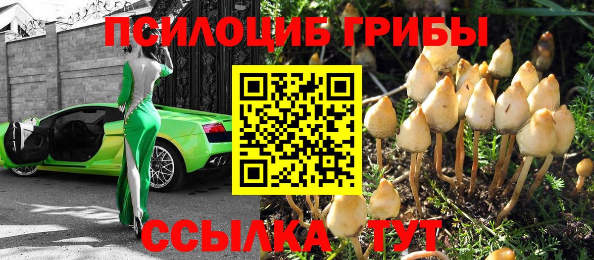 Электросталь  Галлюциногенные грибы Psilocybe  Вход с VPN 